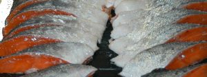 saumon-Tsukiji
