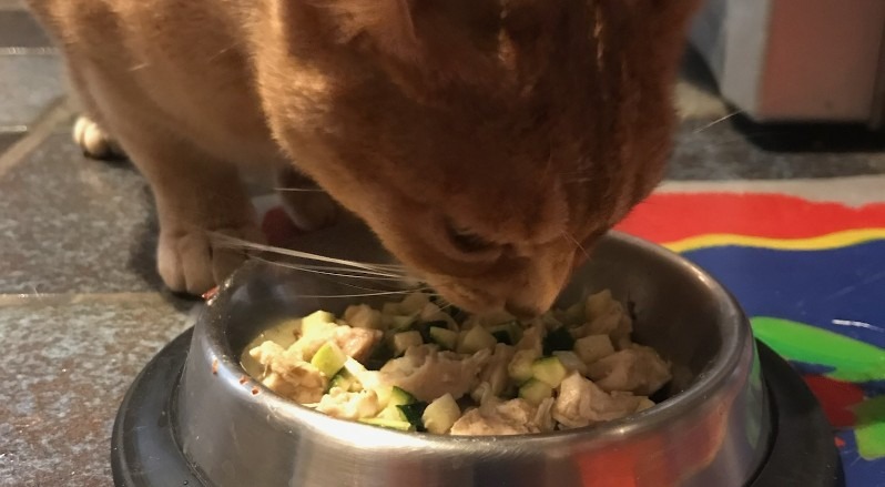 courgettes pour le chat
