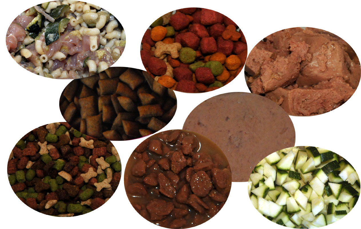 Alimentation Maison Chien Ration | Avie Home Alimentation Maison Chien Ration | Avie Home