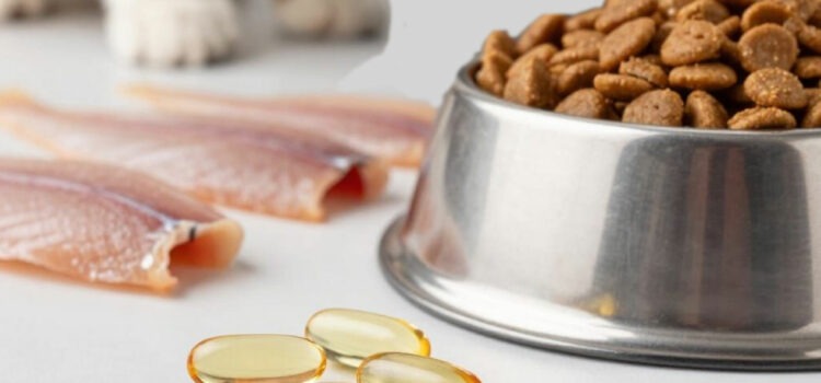 huile de foie de morue