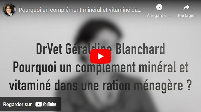 pourquoi un CMV dans une ration maison