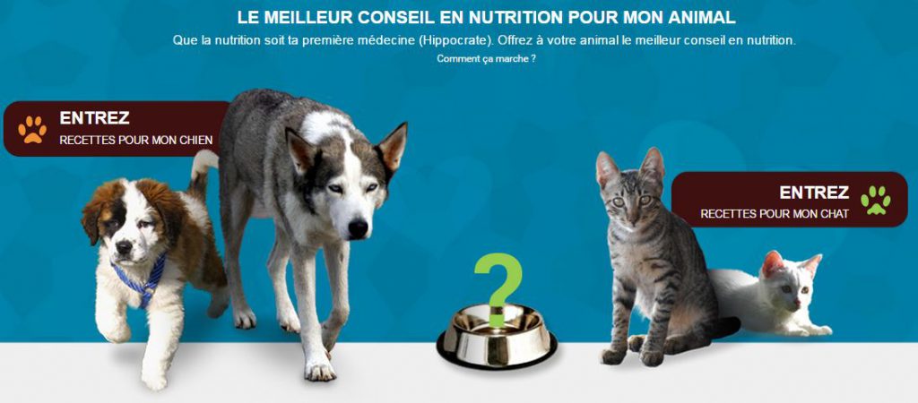 Cuisine-a-crocs: des recettes sur mesure pour chiens et chats
