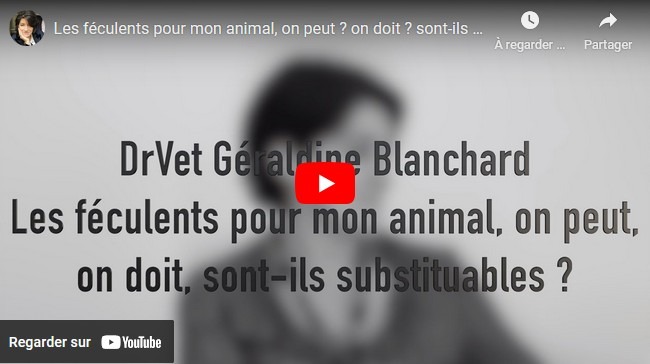 féculents pour le chien