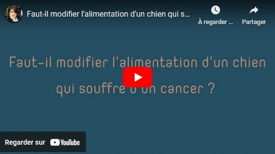 video-alimentation-et-cancer-chien