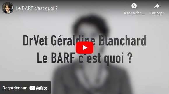 BARF pour chien