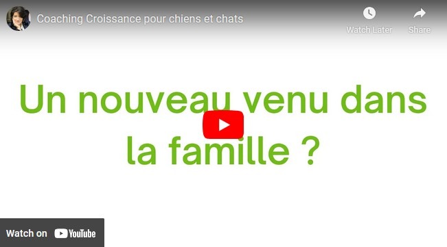 video-coaching-croissance