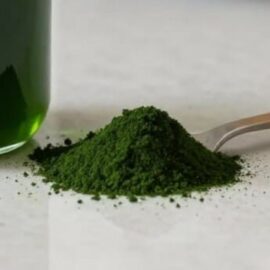 spiruline pour le chien