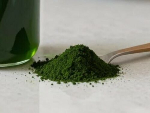 Peut-on donner de la spiruline à un chien ?
