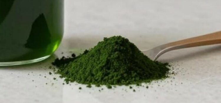 spiruline pour le chien