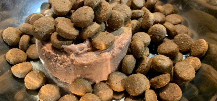 équivalent en croquettes