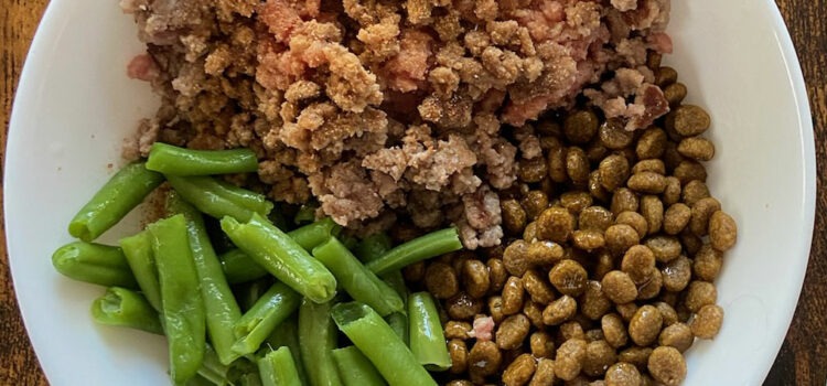 Transition…vous avez dit transition alimentaire ?