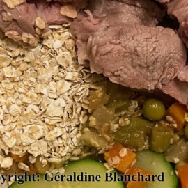 alimentation maison pour un chien