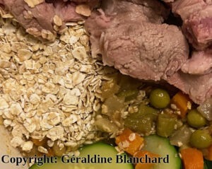 Puis-je nourrir mon chien en alimentation maison avec 1/3 viande, 1/3 légume et 1/3 riz ?