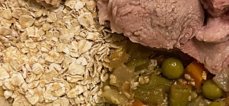 alimentation maison pour un chien