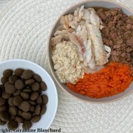 alimentation du chien