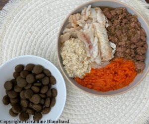 Quelle est la meilleure alimentation pour un chien ?