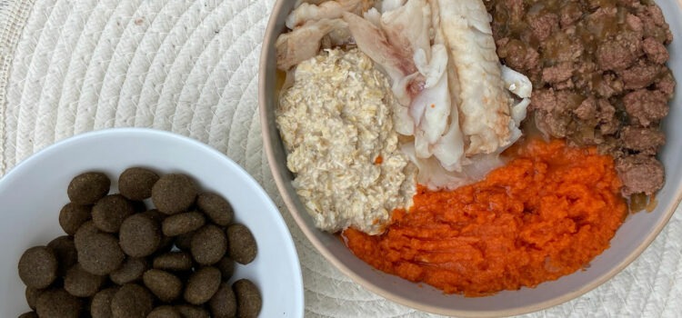 alimentation du chien
