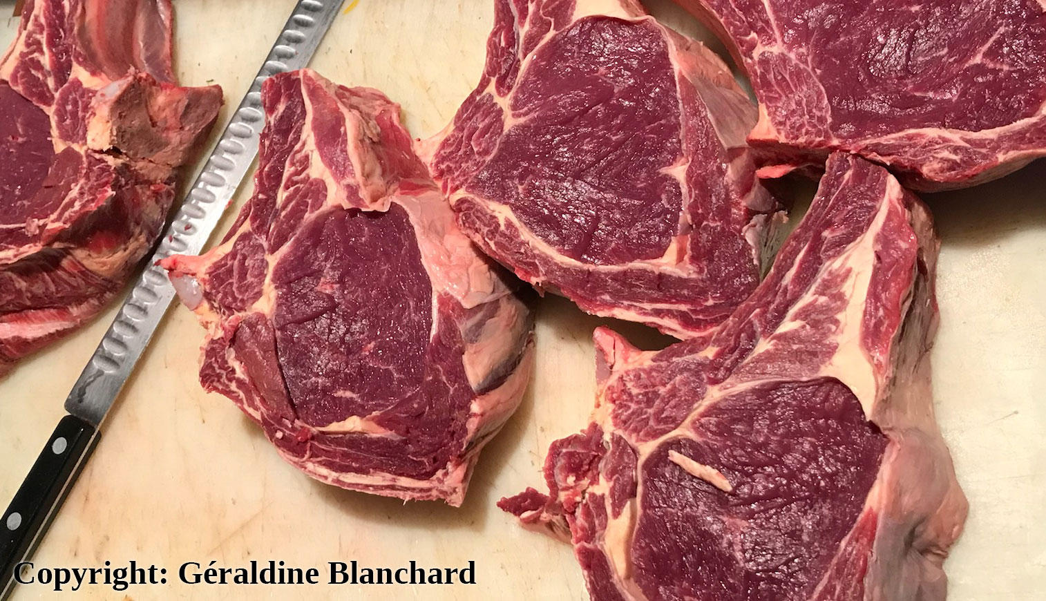 viande pour le chien