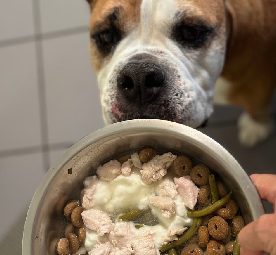 ration mixte