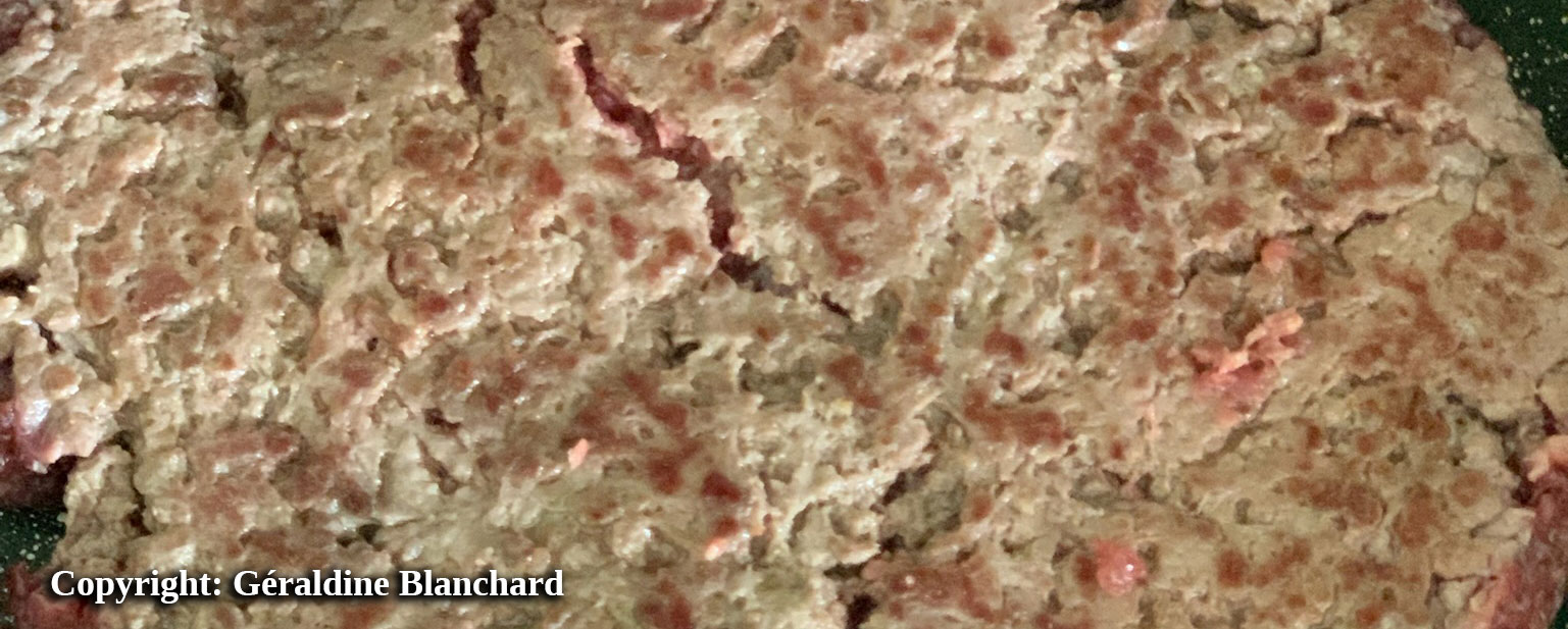 viande cuite pour le chien