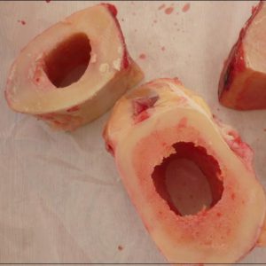 Un os à moelle fait-il disparaître le tartre des dents du chien ?