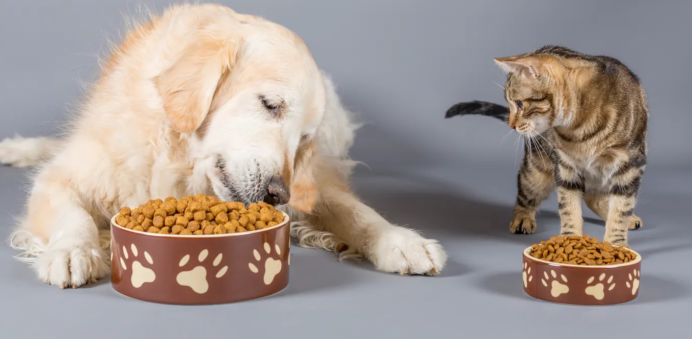 Combien d’aliment industriel pour un chien ou un chat ?