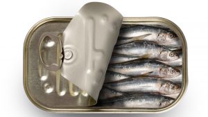 sardines pour le chien