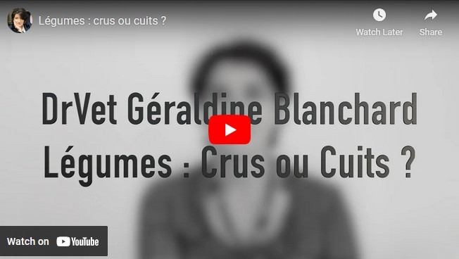 Vidéo du Dr Vet Géraldine Blanchard: légumes cuits ou crus ?