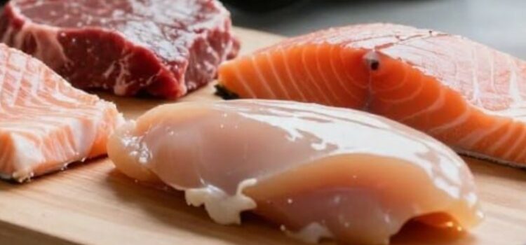 aliments pour chiens