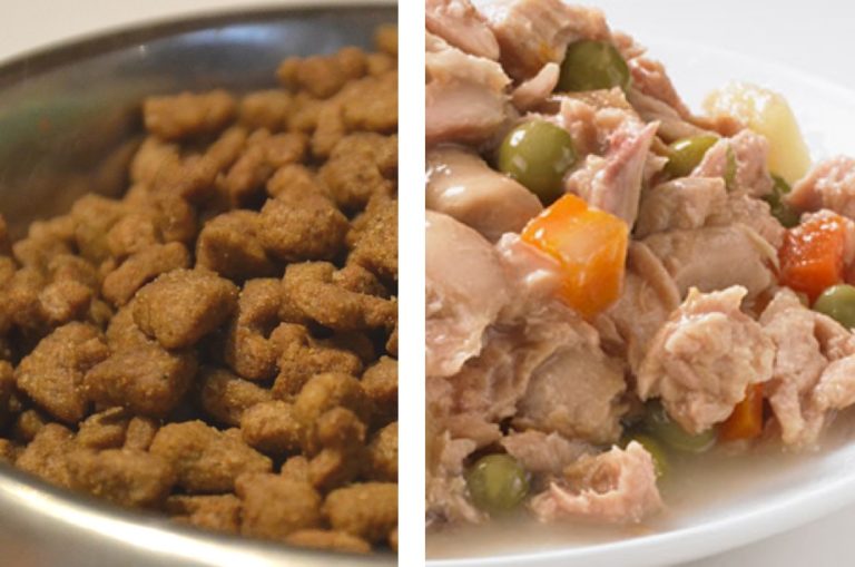 ration mixte équilibrée