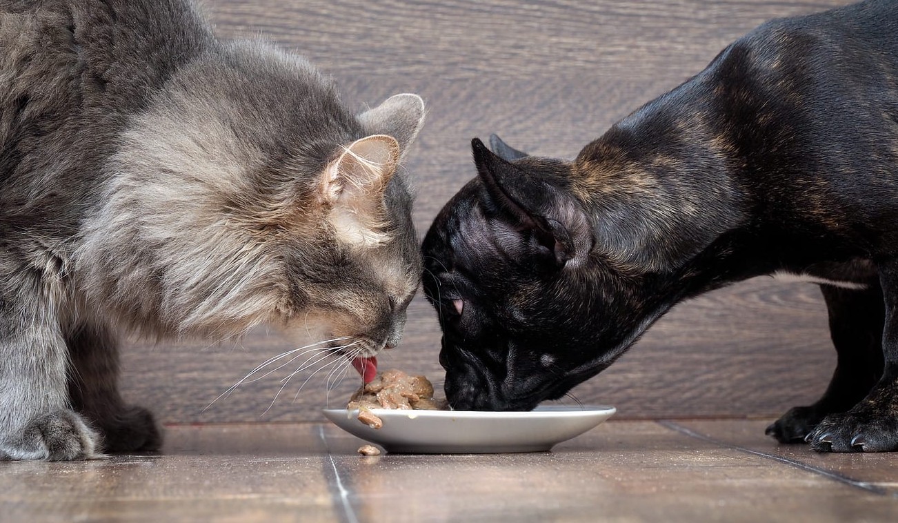 Riz Soufflé Pour Chiens Chats Adulte Nourriture Sec Snack Avec Vitamines 1Kg