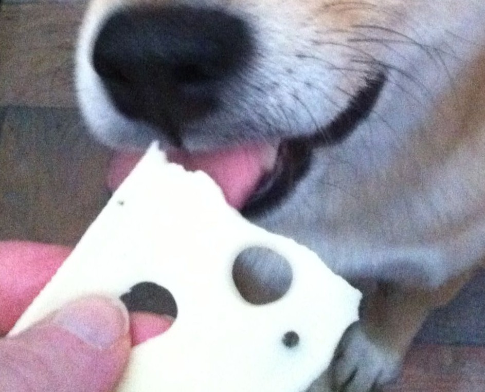 Si on donne un peu de fromage et de yaourt à mon chien, l’apport en calcium est-il suffisant ?