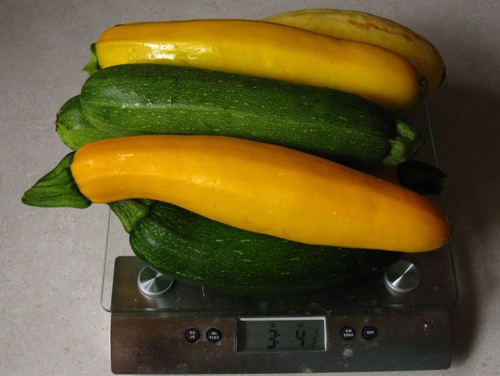 Quelle variation de poids y a-t-il entre légumes crus et cuits ?