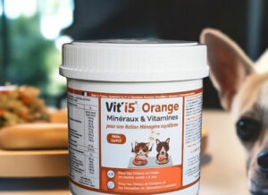 Vidéo : pourquoi faut-il un complément minéral et vitaminé dans l’alimentation maison?