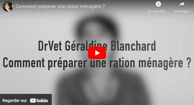 video-comment preparer une ration menagere