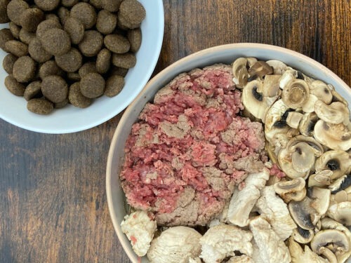 Donner de la viande en plus d&rsquo;une alimentation industrielle à un chien