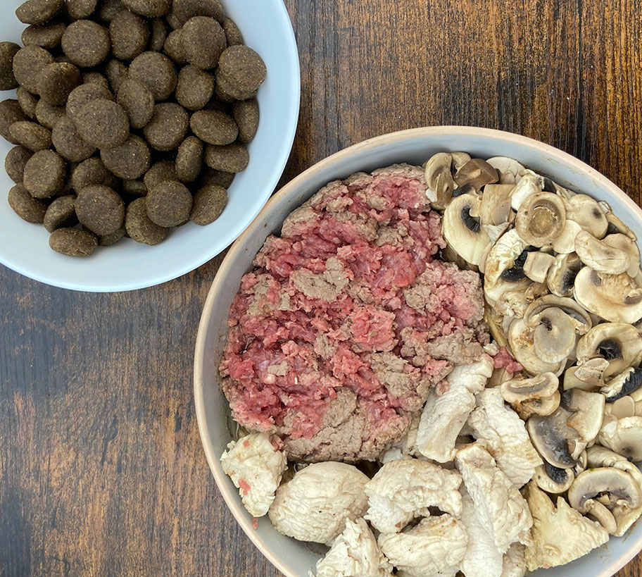 Donner de la viande en plus d&rsquo;une alimentation industrielle à un chien