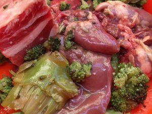 Idées reçues: Le BARF, c’est la meilleure alimentation ? – Vidéo