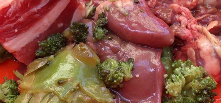 Idées reçues: Le BARF, c’est la meilleure alimentation ? – Vidéo