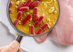 bactéries résistantes aux antibiotiques