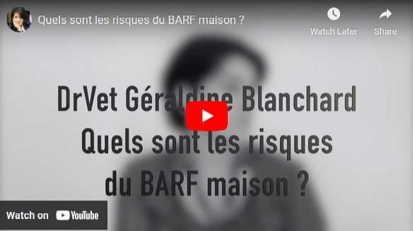 risques BARF maison