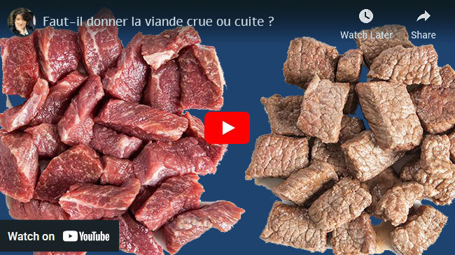 viande crue ou viande cuite