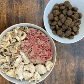mélanger croquettes et frais