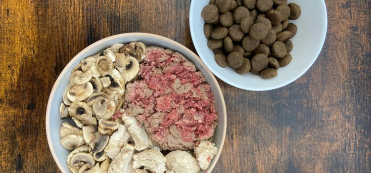 mélanger croquettes et frais