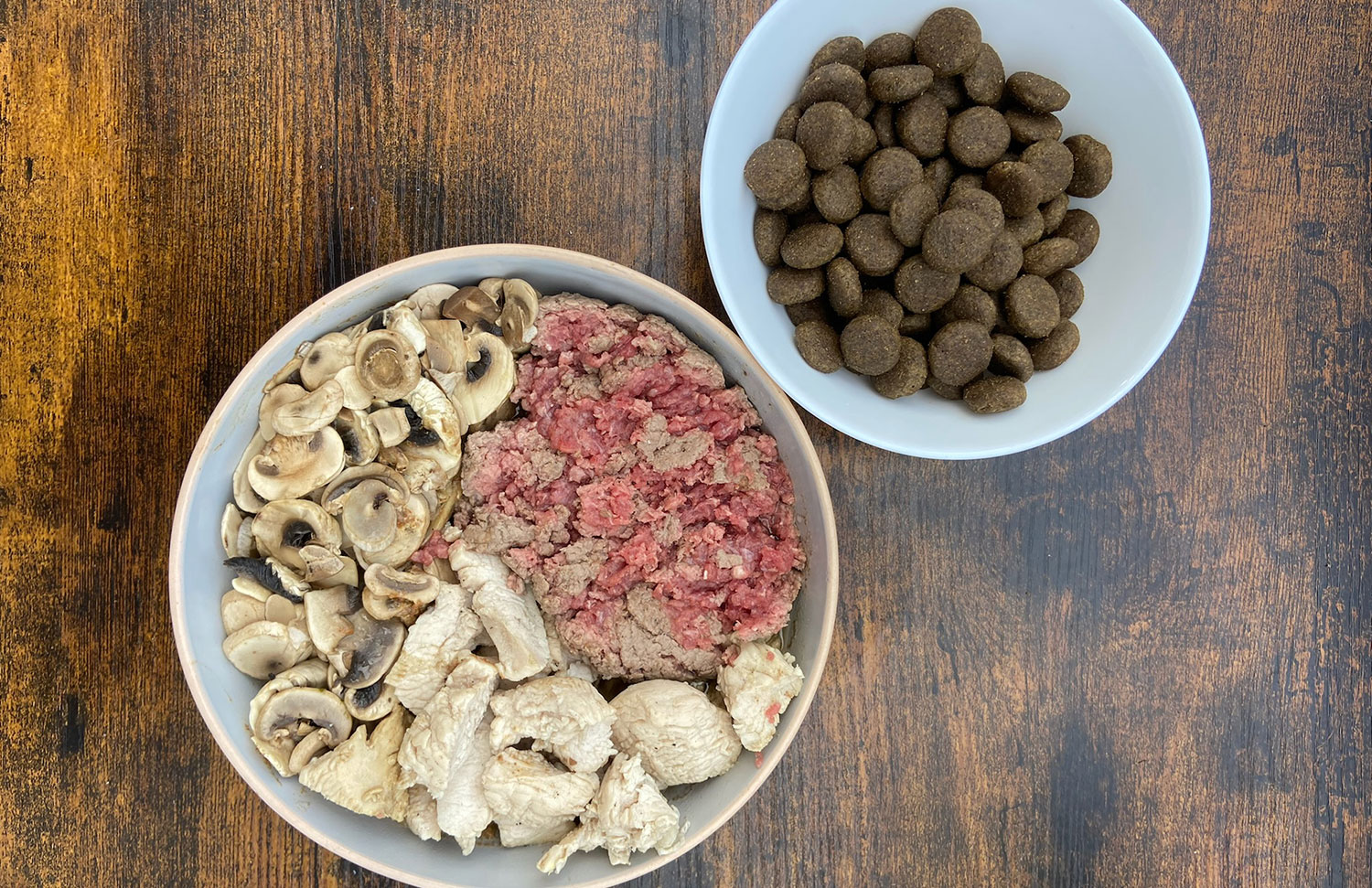 Idées reçues: Mélanger des croquettes et du frais change le pH de l’estomac – Vidéo
