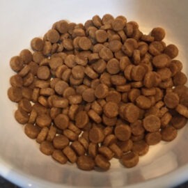 croquettes sans cereales