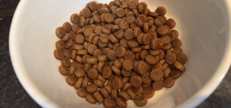 Idées reçues: Les croquettes sans céréales c’est mieux ? – Vidéo croquettes sans cereales