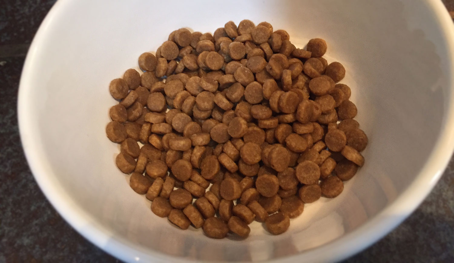 Idées reçues:  Les croquettes sans céréales c’est mieux ? – Vidéo