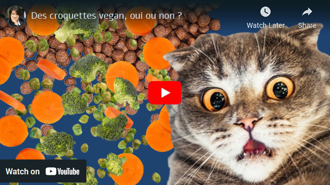 croquettes vegan pour un chat