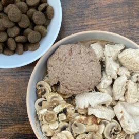 meilleure alimentation chien